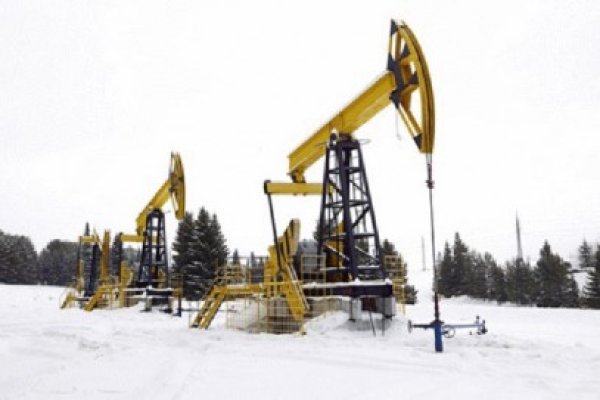 ExxonMobil şi Rosneft, parteneriat pentru petrol în Arctica